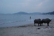 Foto: Lantau