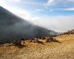 Foto: Irēna Frīdenšteina. Uz sēra krāteri mēnesgaismā