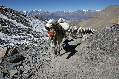 Annapurnas grēda Himalajos