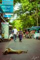 Foto: Juris Zīģelis. Phu Quoc salas mierpilnā atpūta un Krabi klinšu kāpšanas ekstrēms
