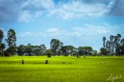 Foto: Juris Zīģelis. Phu Quoc salas mierpilnā atpūta un Krabi klinšu kāpšanas ekstrēms