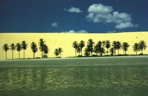 Fortaleza - Cumbuco - Cauipe - Taiba - Paracuru - Jericoacoacara