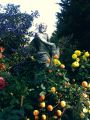 Foto: Zigmārs Jauja. Septiņi savdabīgi dārzi Austrijā