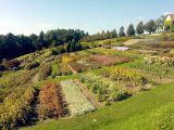 Foto: Zigmārs Jauja. Septiņi savdabīgi dārzi Austrijā