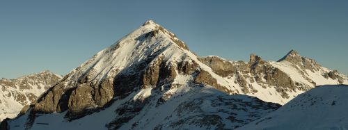 Obertauerna