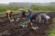 Foto: Dzūkijas sēņu bums