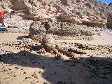 Foto: Marokas sērferu pludmales