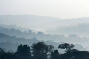 Foto: Pigmeji un sarkanās smiltis