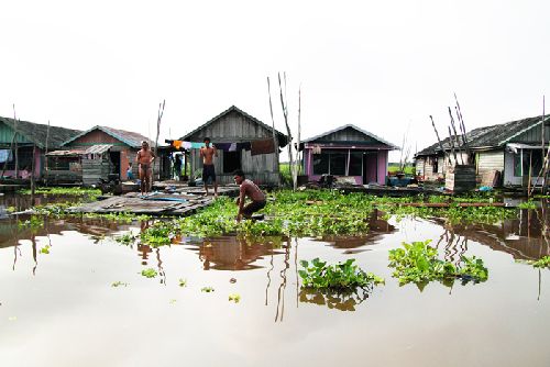 Cilts sievietes un saldūdens delfīnu meklējumi Borneo