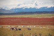 Foto: Patagonijas vējš un Argentīnas krāsas