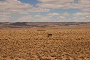 Foto: Patagonijas vējš un Argentīnas krāsas