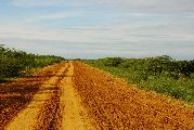 Foto: Kolumbija un Zudusī pilsēta