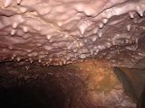 Foto: Vējš, mellenes un lavas lauki