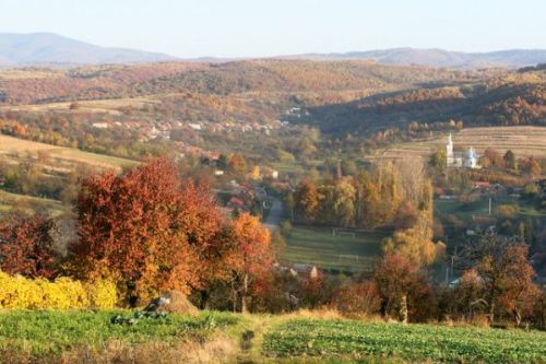 Vīna un kalnu burvība Aizkarpatos