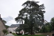 Foto: Pa Riesling ceļu