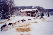 Foto: Aļaska un dabas vienādojumi