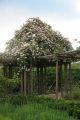 Foto: Babylonstoren