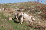 Foto: Lietas, kas jāizdara