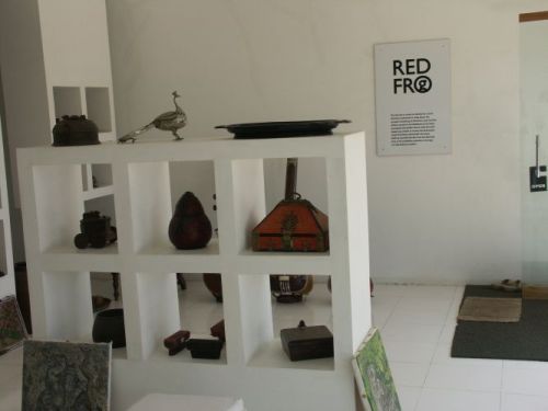 Red Frog, Kumily