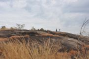 Foto: Vanilla County Homestay