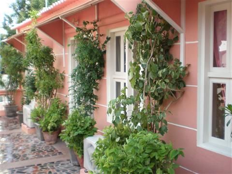 The French Villa, Pondicherry