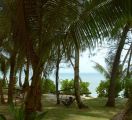 Foto: Rimba Resort