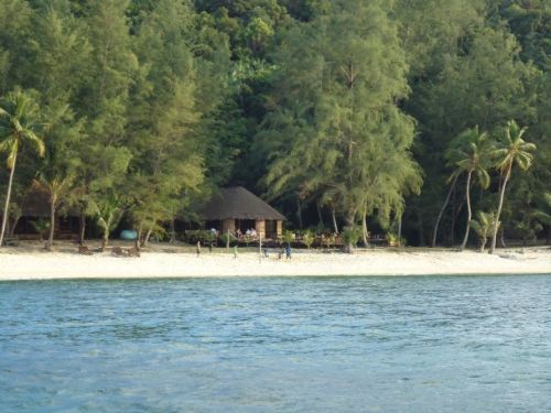 Rimba Resort