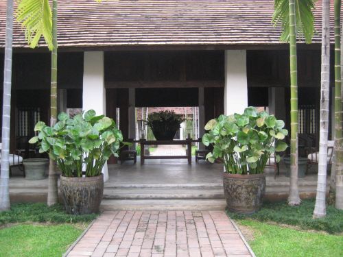 Rachamankha