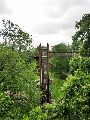 Foto: Kjū karaliskais botāniskais dārzs (The Royal Botanic Gardens, Kew)