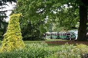 Foto: Kjū karaliskais botāniskais dārzs (The Royal Botanic Gardens, Kew)
