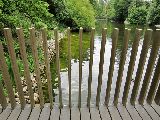 Foto: Kjū karaliskais botāniskais dārzs (The Royal Botanic Gardens, Kew)