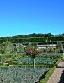 Foto: Vilandrī pils dārzi (Le jardin du Château de Villandry)