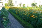 Foto: Vilandrī pils dārzi (Le jardin du Château de Villandry)