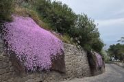 Foto: Lietas, kas jāizdara