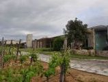 Foto: Vigne Surrau, netālu no Porto Cervo