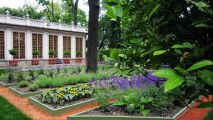 Foto: Sanktpēterburgas Vasaras dārzs