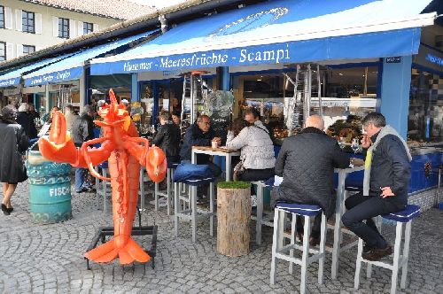 Fisch-Witte