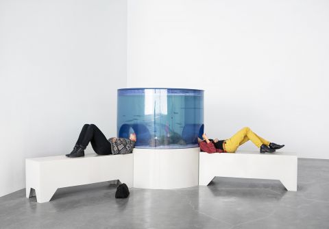 Carsten Höller. Daubt, HangarBicocca, 7. aprīlis - 31. jūlijs, 2016